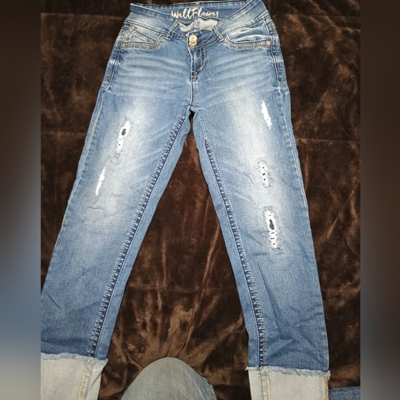 Size 3 Wallflower Capris - Picture 2 of 4